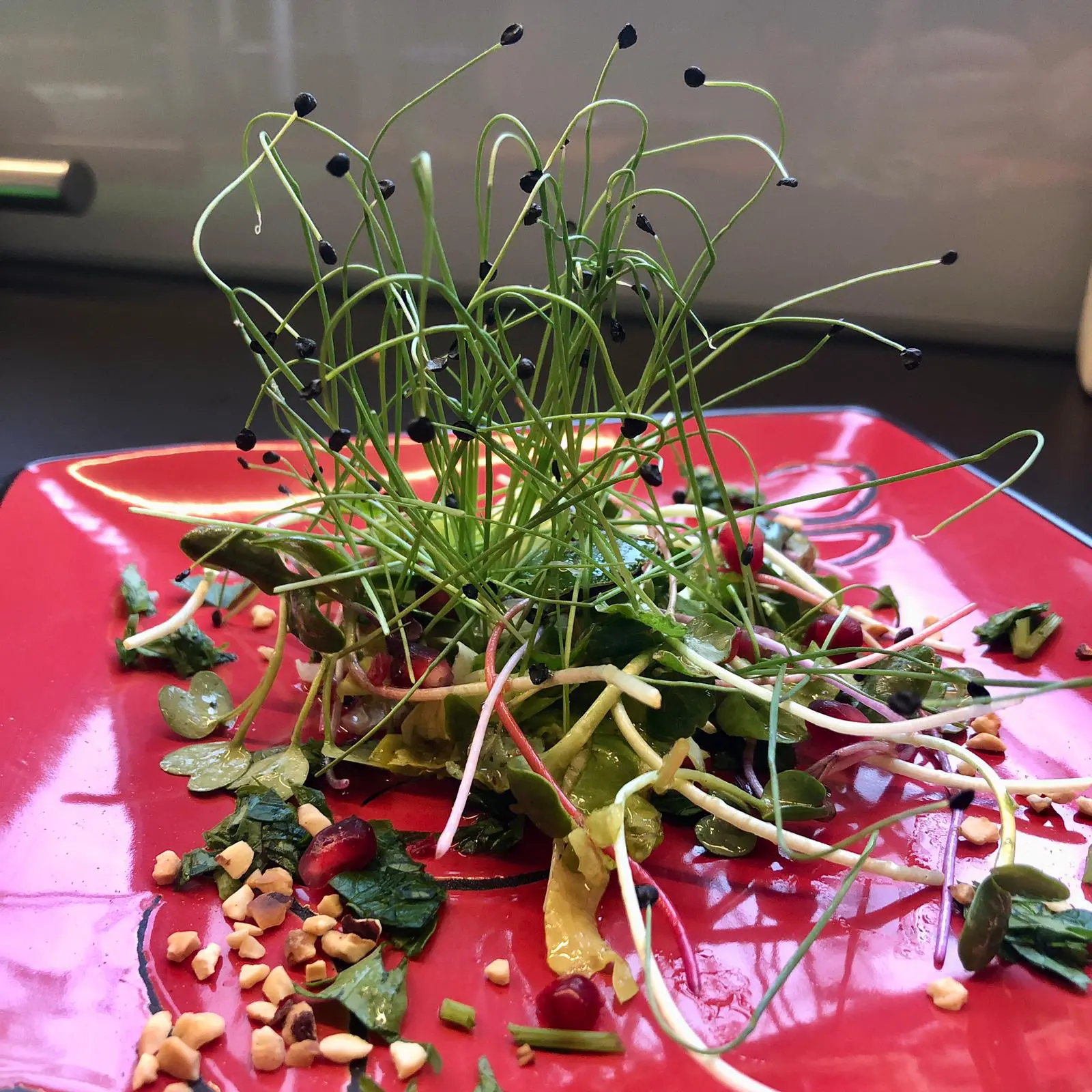 Grünzeug Microgreens aus Oberfranken Christoph Schuberth Serviervorschlag Uta und Hanky