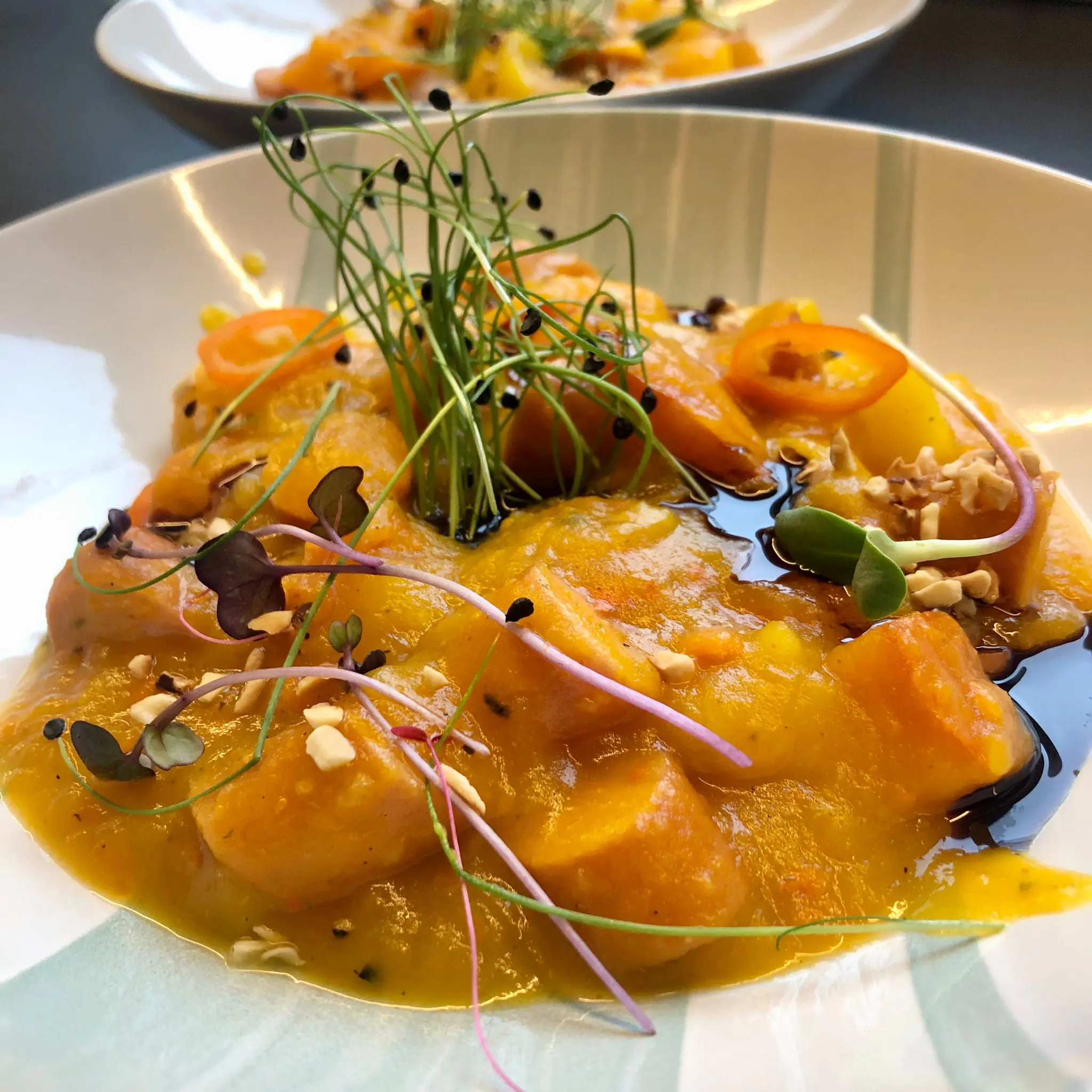 Grünzeug Microgreens aus Oberfranken Christoph Schuberth Serviervorschlag Uta und Hanky