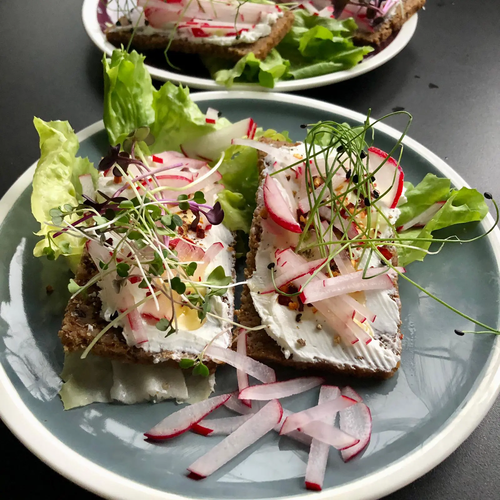 Grünzeug Microgreens aus Oberfranken Christoph Schuberth Serviervorschlag Uta und Hanky