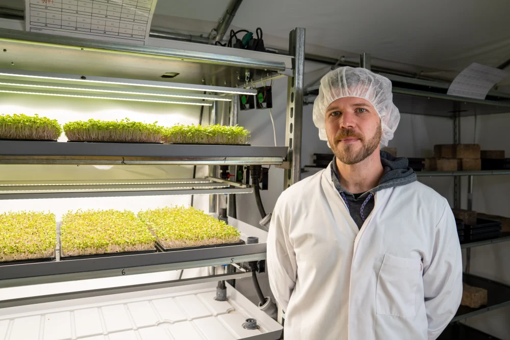 Quelle: https://gruenzeug-microgreens.de